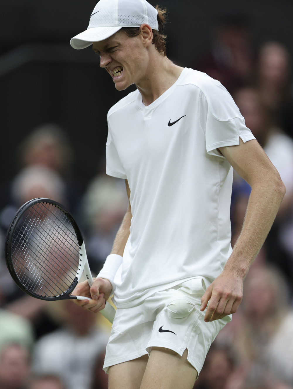 顶级中锋的 顶级中锋的