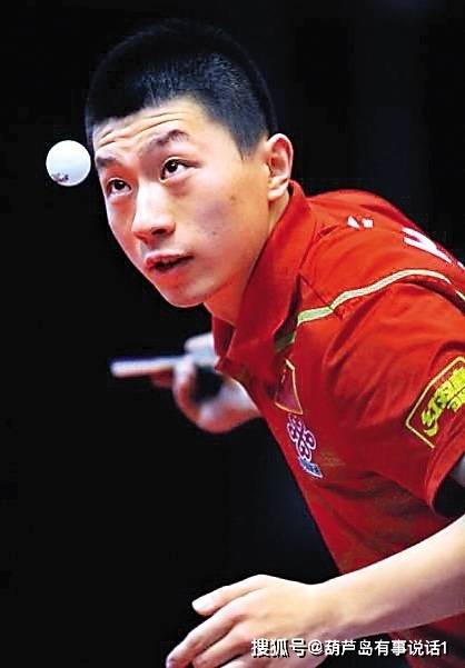 资本多元化 资本多元化